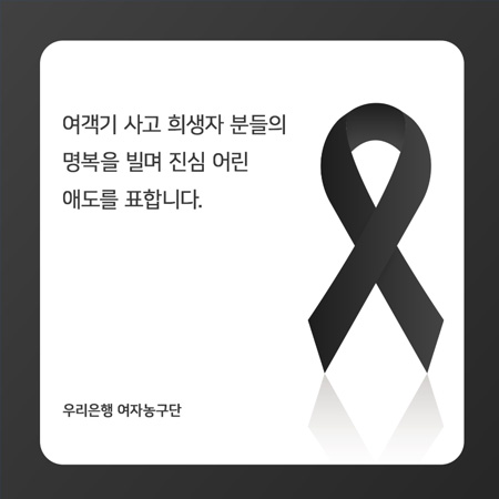 여객기 사고 희생자 분들의 명복을 빌며 진심 어린 애도를 표합니다.